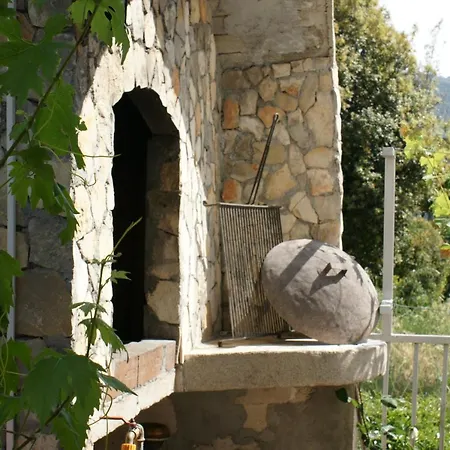 Filipovic