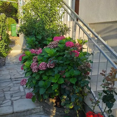 Filipovic *